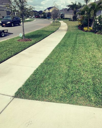 Top-Lawn-Pros-Lawn-Services-Riverview-Fl-043