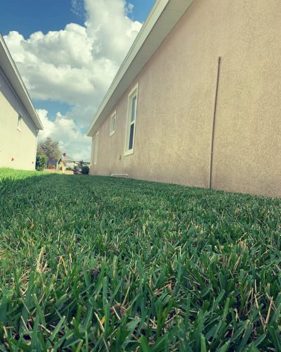 Top-Lawn-Pros-Lawn-Services-Riverview-Fl-044