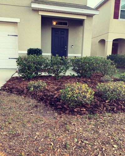 Top-Lawn-Pros-Lawn-Services-Riverview-Fl-045