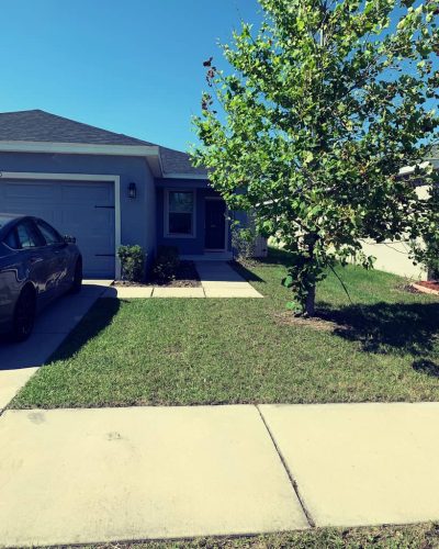 Top-Lawn-Pros-Lawn-Services-Riverview-Fl-046