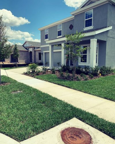 Top-Lawn-Pros-Lawn-Services-Riverview-Fl-047