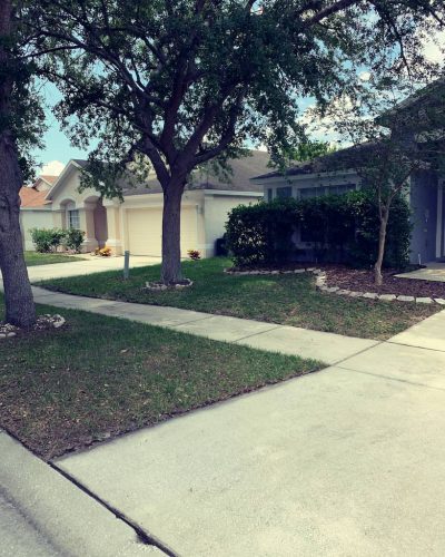 Top-Lawn-Pros-Lawn-Services-Riverview-Fl-050