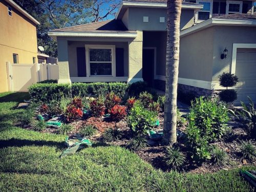 Top-Lawn-Pros-Lawn-Services-Riverview-Fl-052