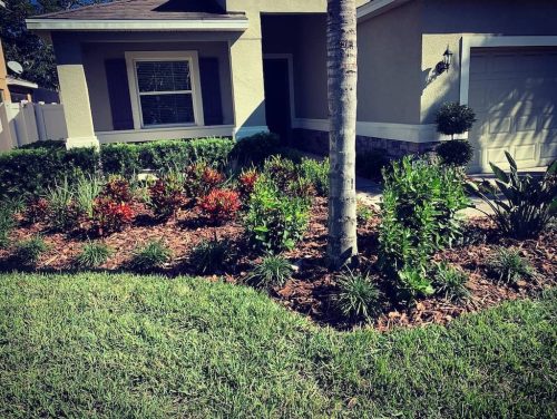 Top-Lawn-Pros-Lawn-Services-Riverview-Fl-053