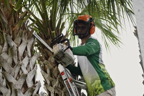 Top-Lawn-Pros-Lawn-Services-Riverview-Fl-055