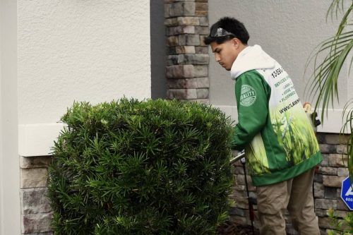 Top-Lawn-Pros-Lawn-Services-Riverview-Fl-058