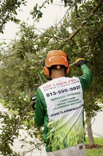 Top-Lawn-Pros-Lawn-Services-Riverview-Fl-059