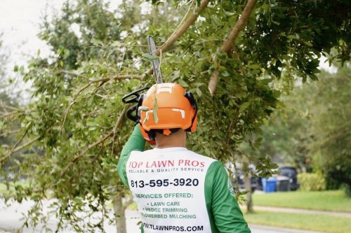 Top-Lawn-Pros-Lawn-Services-Riverview-Fl-060