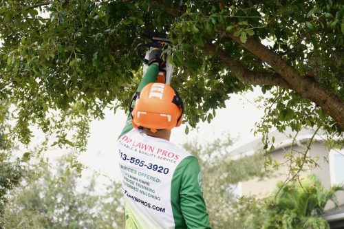 Top-Lawn-Pros-Lawn-Services-Riverview-Fl-061