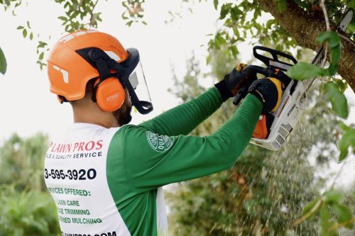 Top-Lawn-Pros-Lawn-Services-Riverview-Fl-062