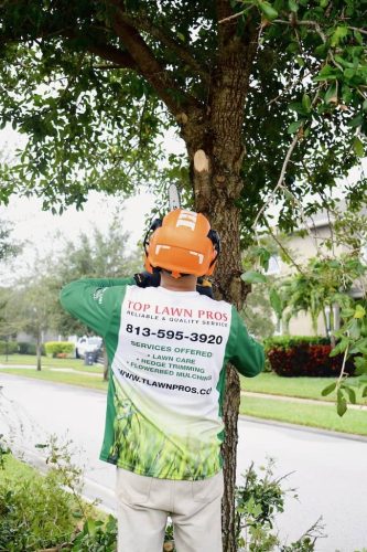 Top-Lawn-Pros-Lawn-Services-Riverview-Fl-063