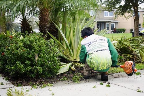 Top-Lawn-Pros-Lawn-Services-Riverview-Fl-066