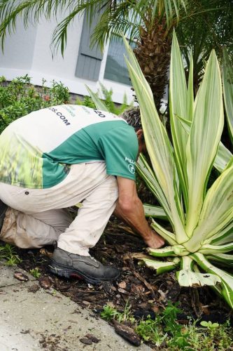 Top-Lawn-Pros-Lawn-Services-Riverview-Fl-068