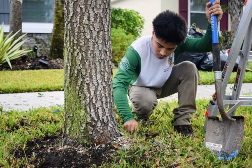 Top-Lawn-Pros-Lawn-Services-Riverview-Fl-071