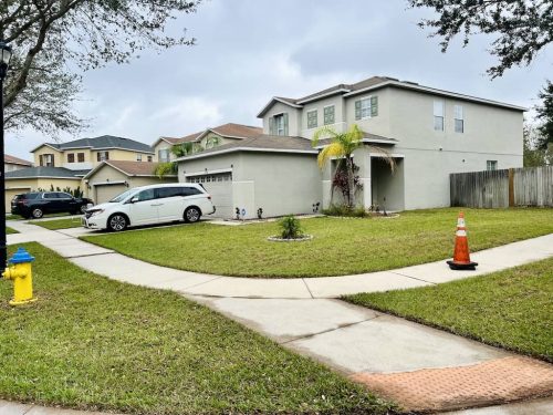 Top-Lawn-Pros-Lawn-Services-Riverview-Fl-076