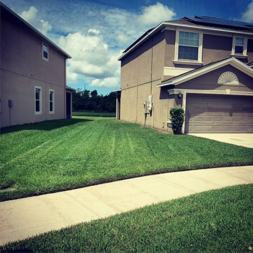 Top-Lawn-Pros-Lawn-Services-Riverview-Fl-081