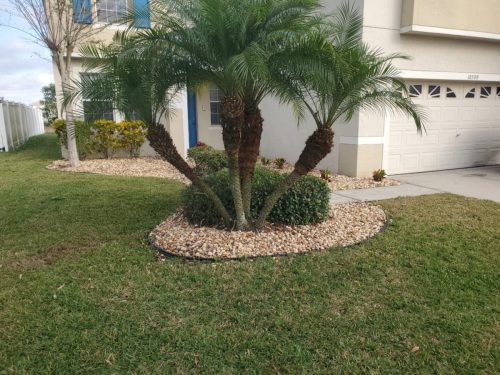 Top-Lawn-Pros-lawn-services-riverview-fl-088-scaled
