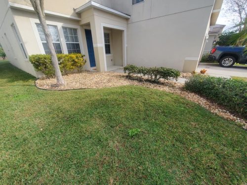 Top-Lawn-Pros-lawn-services-riverview-fl-089