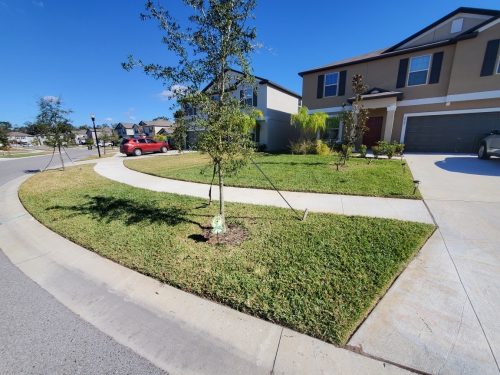Top-Lawn-Pros-lawn-services-riverview-fl-64
