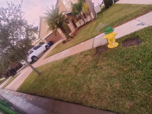 Top-Lawn-Pros-lawn-services-riverview-fl-87