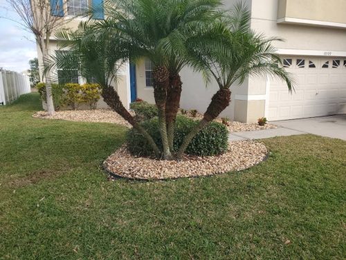 Top-Lawn-Pros-lawn-services-riverview-fl-88