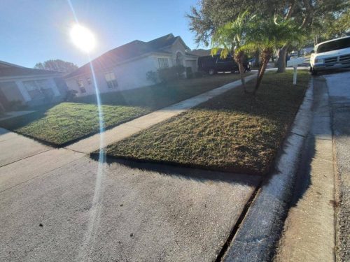 Top-Lawn-Pros-lawn-services-riverview-fl-92