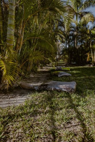 bagged-mulch-Apollo-Beach-Fl