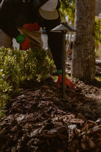 fresh-mulch