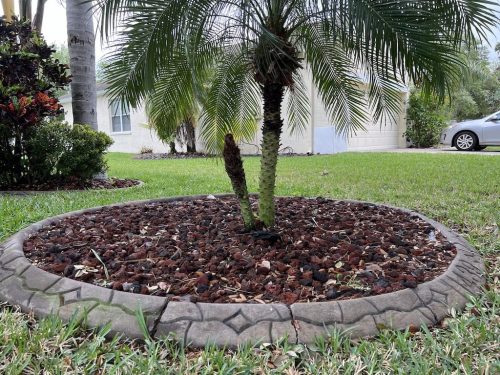 lawn-service-riverviewfl-landscape-installtion-2-1-Before