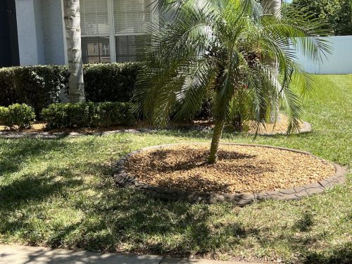 lawn-service-riverviewfl-landscape-installtion-2-2-After