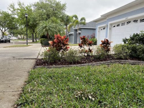 lawn-service-riverviewfl-landscape-installtion-3-1-Before