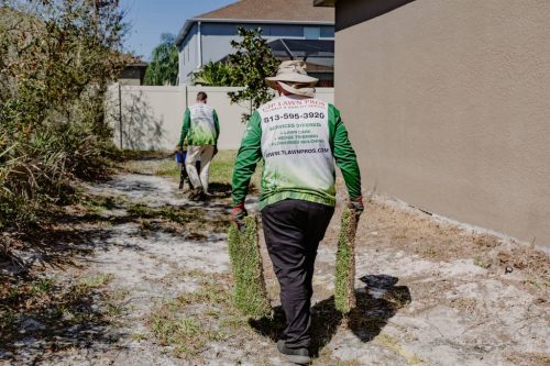 lawn-services-Riverview-FL-1-27-22-10-23-46-p.m