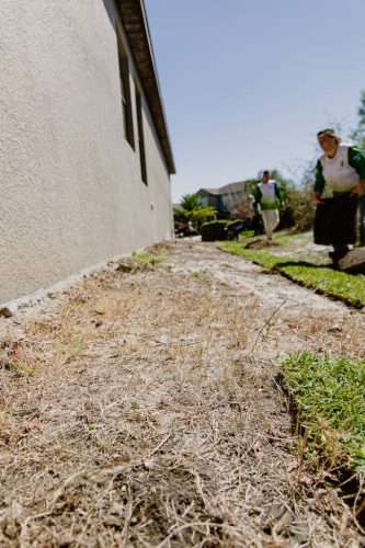 lawn-services-Riverview-FL-1-27-22-10-30-10-p.m