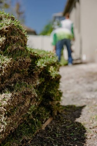 lawn-services-Riverview-FL-1-27-22-10-35-42-p.m