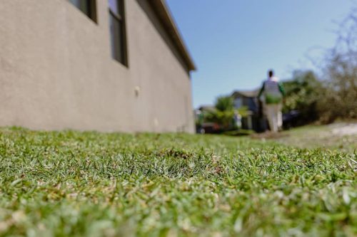 lawn-services-Riverview-FL-1-27-22-10-47-17-p.m