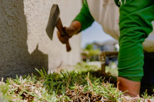 lawn-services-Riverview-FL-1-27-22-11-06-47-p.m