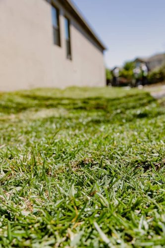 lawn-services-Riverview-FL-1-27-22-11-08-06-p.m