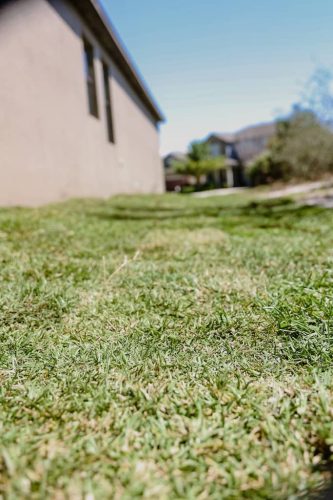 lawn-services-Riverview-FL-1-27-22-11-59-46-p.m