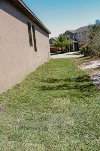 lawn-services-Riverview-FL-1-28-22-12-00-01-a.m