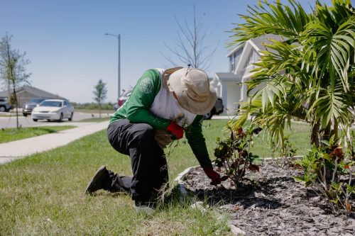 lawn-services-Riverview-FL-1-28-22-12-20-51-a.m