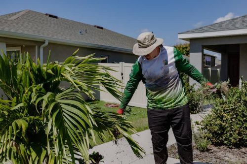 lawn-services-Riverview-FL-1-28-22-12-22-29-a.m