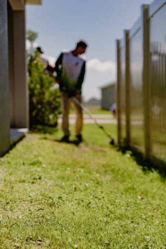 lawn-services-Riverview-FL-1-28-22-12-26-10-a.m