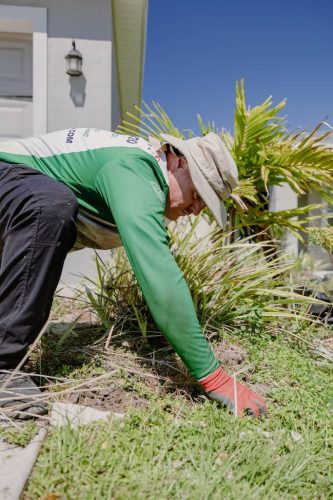 lawn-services-Riverview-FL-1-28-22-12-31-43-a.m