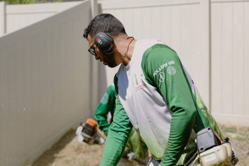 lawn-services-Riverview-FL-1-28-22-12-37-10-a.m