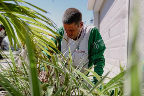 lawn-services-Riverview-FL-1-28-22-12-44-41-a.m