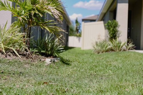 lawn-services-Riverview-FL-1-28-22-12-54-08-a.m