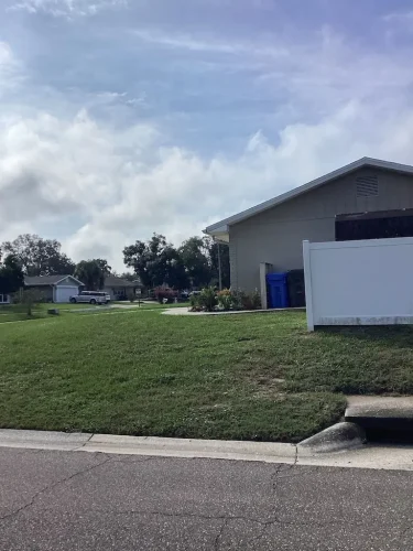 Lawn Services Brandon Fl 10 15 26 100