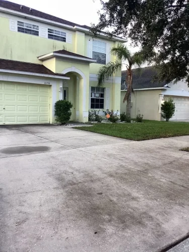 Lawn Services Brandon Fl 10 15 26 105