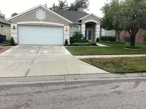 Lawn Services Brandon Fl 10 15 26 106