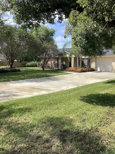 Lawn Services Brandon Fl 10 15 26 113